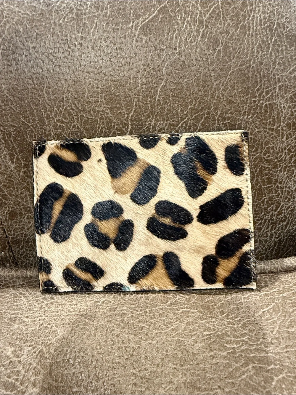 Slim Teal Card & ID Holder for Women